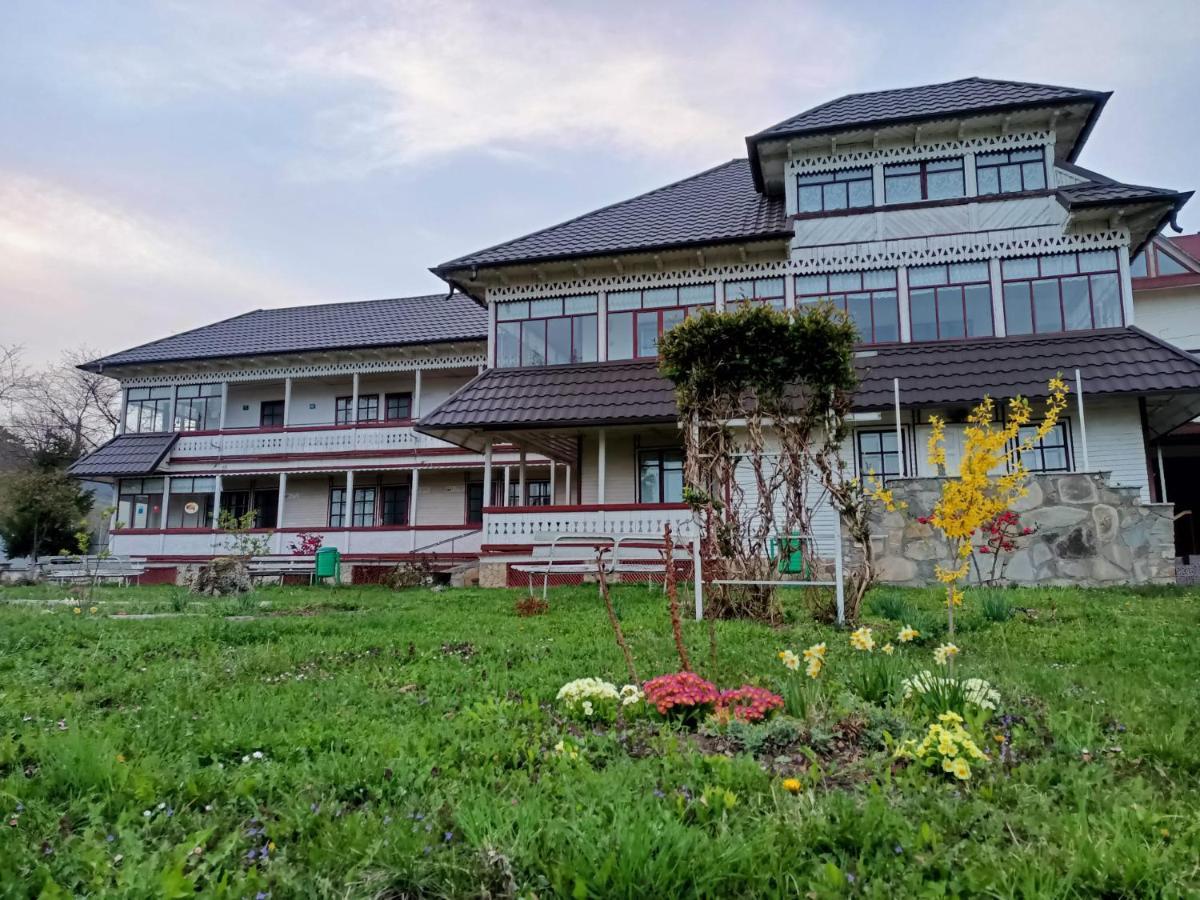 Padurea De Argint Villa Văratec Eksteriør bilde