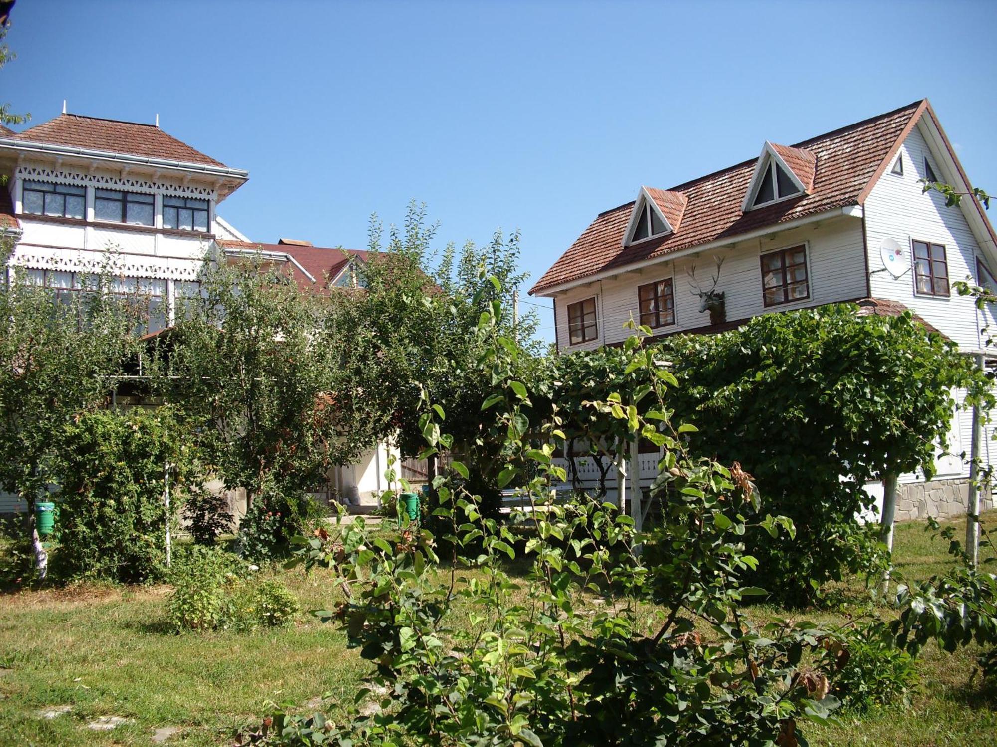 Padurea De Argint Villa Văratec Eksteriør bilde