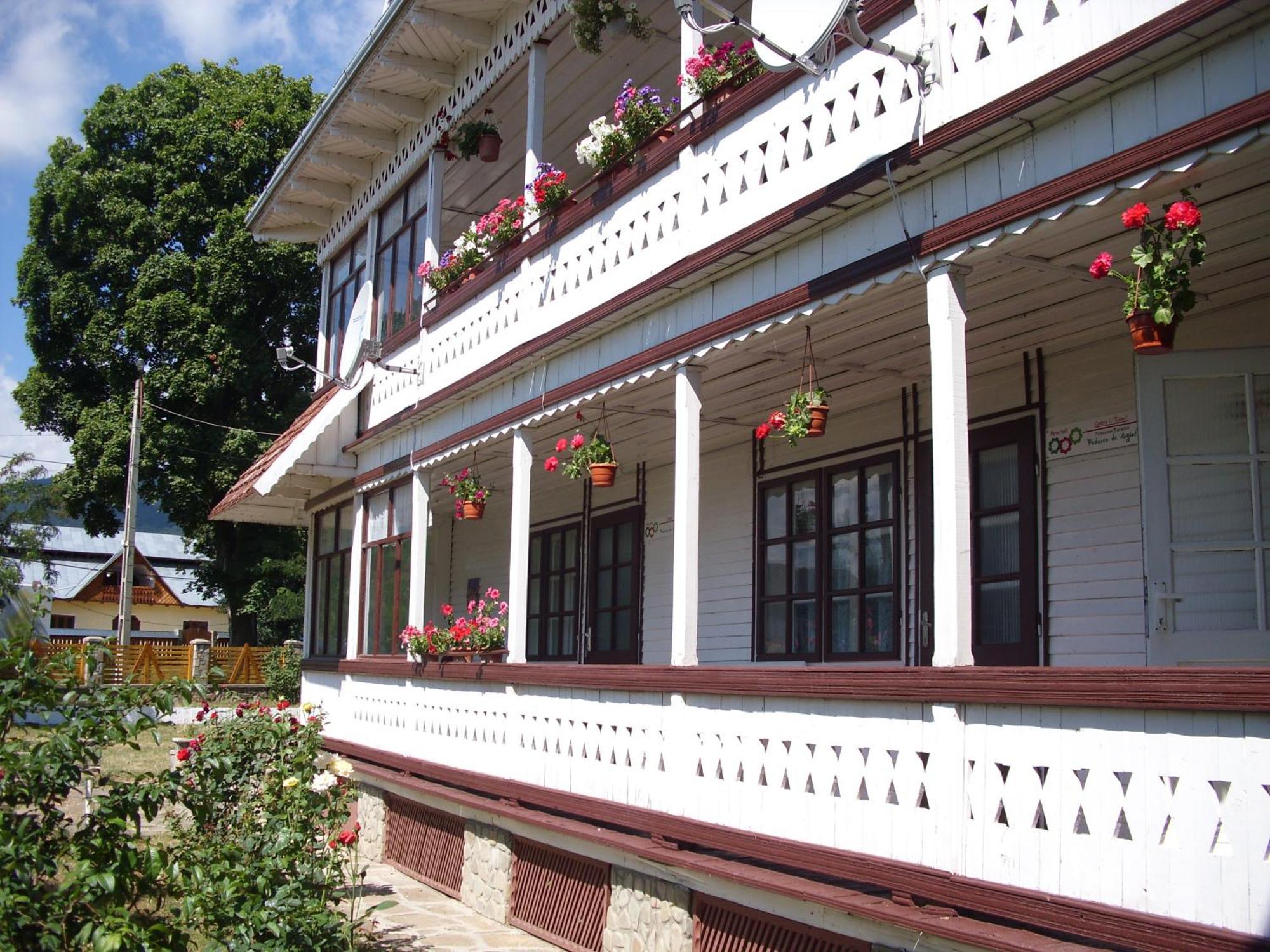 Padurea De Argint Villa Văratec Eksteriør bilde