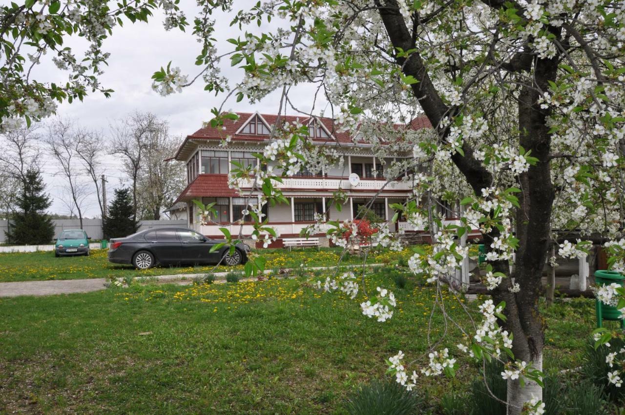 Padurea De Argint Villa Văratec Eksteriør bilde