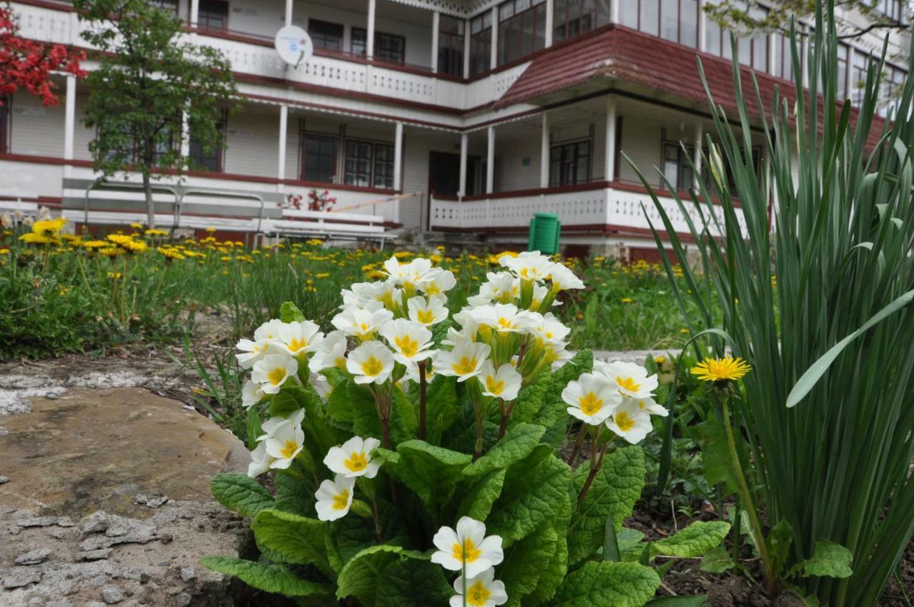 Padurea De Argint Villa Văratec Eksteriør bilde